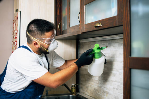 Best Flea Control Services  in Bristol, TN