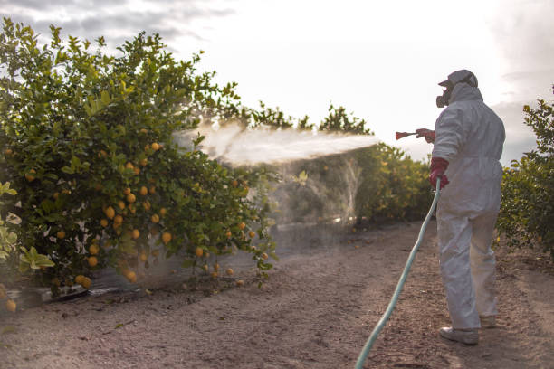 Best Termite Control Services  in Bristol, TN