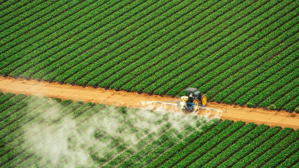 Professional Pest Control in Bristol, TN
