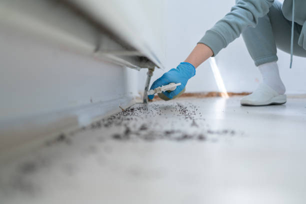 Best Cockroach Control Services  in Bristol, TN